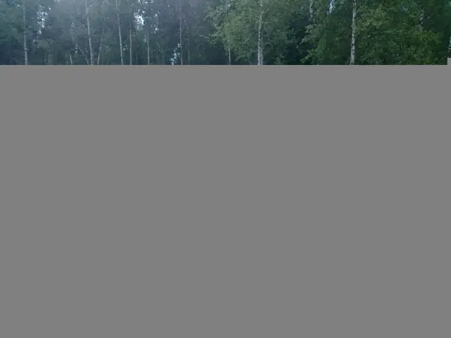Строительство дома из бруса размером 6х7 Клинский район